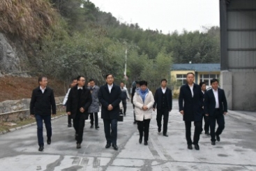 中國(guó)建材集團(tuán)黨委書(shū)記、董事長(zhǎng)周育先調(diào)研巨石九江鈣業(yè)公司