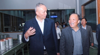 2010年11月，時任浙江省委常委、組織部長蔡奇到中國巨石視察。他對企業(yè)立足浙江、走向世界的做法給予肯定和鼓勵，希望企業(yè)積極開展?fàn)幃?dāng)“發(fā)展強(qiáng)、黨建強(qiáng)”先進(jìn)企業(yè)活動，為企業(yè)科學(xué)發(fā)展注入動力，以黨內(nèi)創(chuàng)先帶動企業(yè)創(chuàng)先，讓企業(yè)創(chuàng)先爭優(yōu)形成長效機(jī)制。