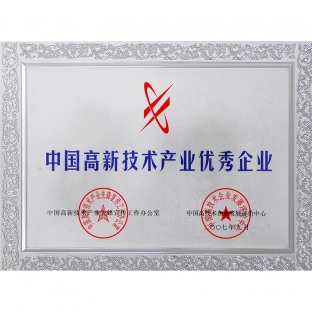 Outstanding Enterprise in China's High-tech Industry