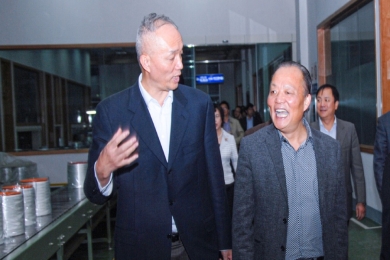 2010年11月，時任浙江省委常委、組織部長蔡奇到中國巨石視察。他對企業(yè)立足浙江、走向世界的做法給予肯定和鼓勵，希望企業(yè)積極開展爭當“發(fā)展強、黨建強”先進企業(yè)活動，為企業(yè)科學發(fā)展注入動力，以黨內(nèi)創(chuàng)先帶動企業(yè)創(chuàng)先，讓企業(yè)創(chuàng)先爭優(yōu)形成長效機制。